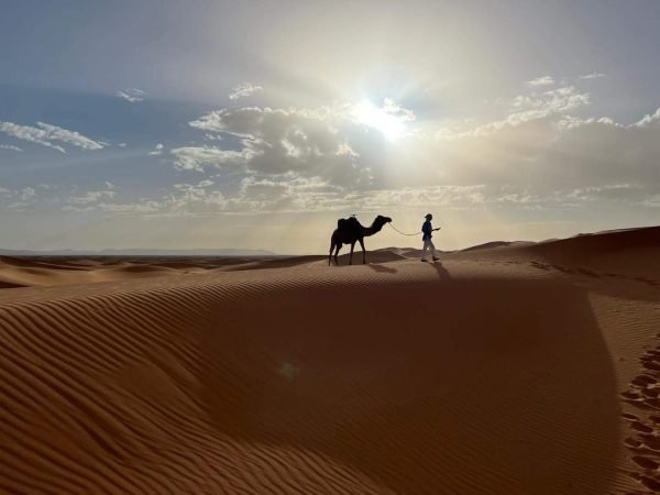 c6e0d6a5-0170-4b25-b1c7-aadc41c42e22