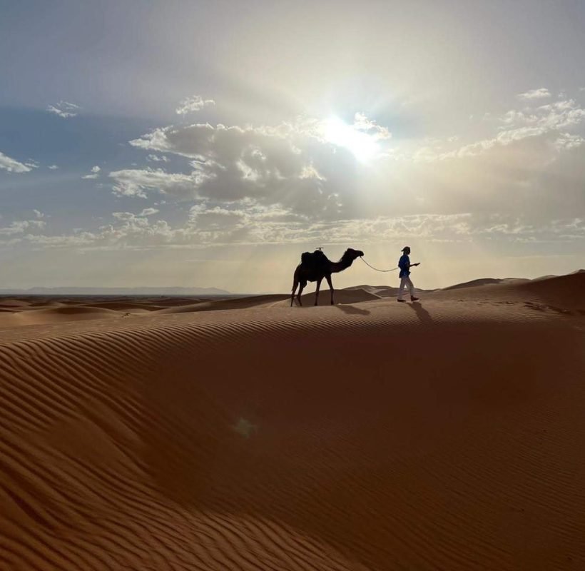 c6e0d6a5-0170-4b25-b1c7-aadc41c42e22